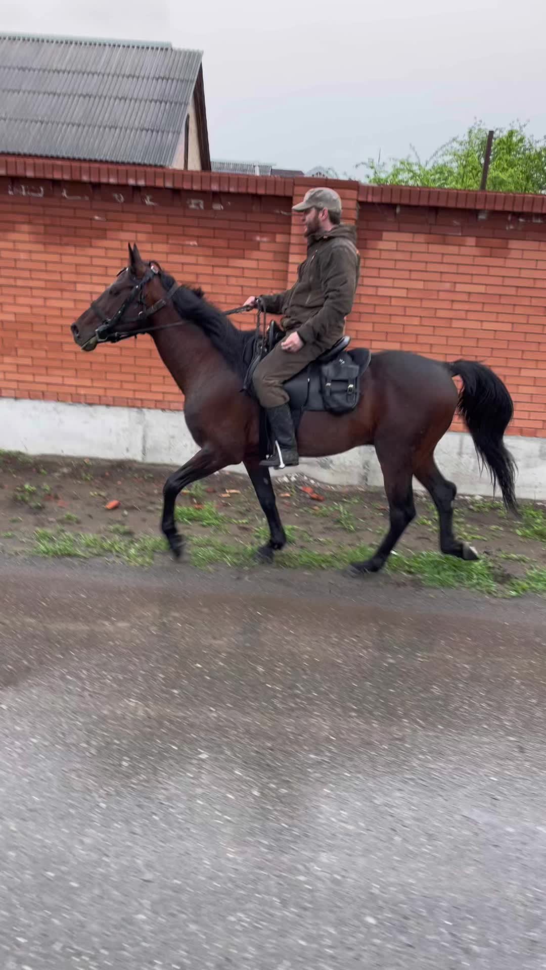 @Ильяс