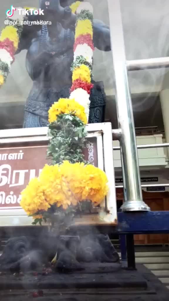 @selvam nayak526018