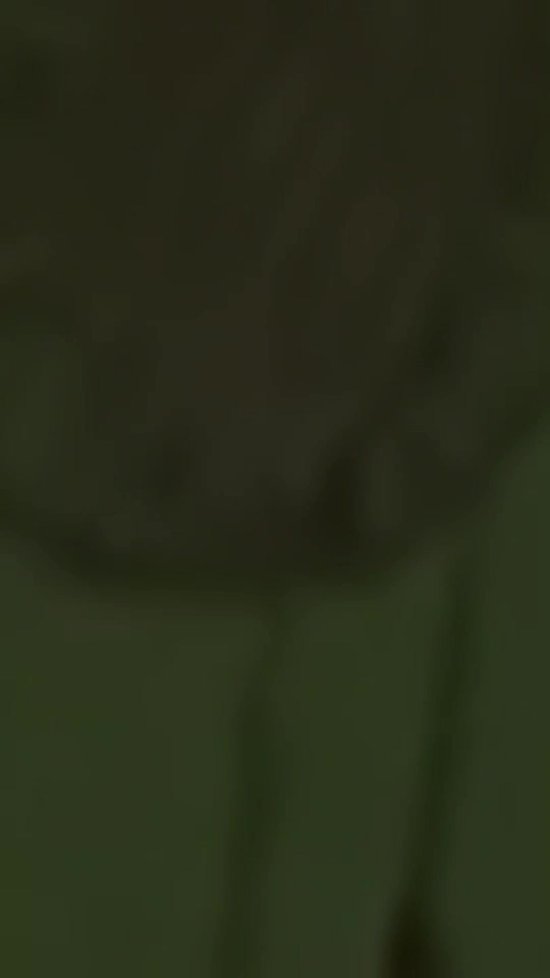 @๐ฆโ๐๐๐โจ๏ธ๐ซก๐ฆ๐ท