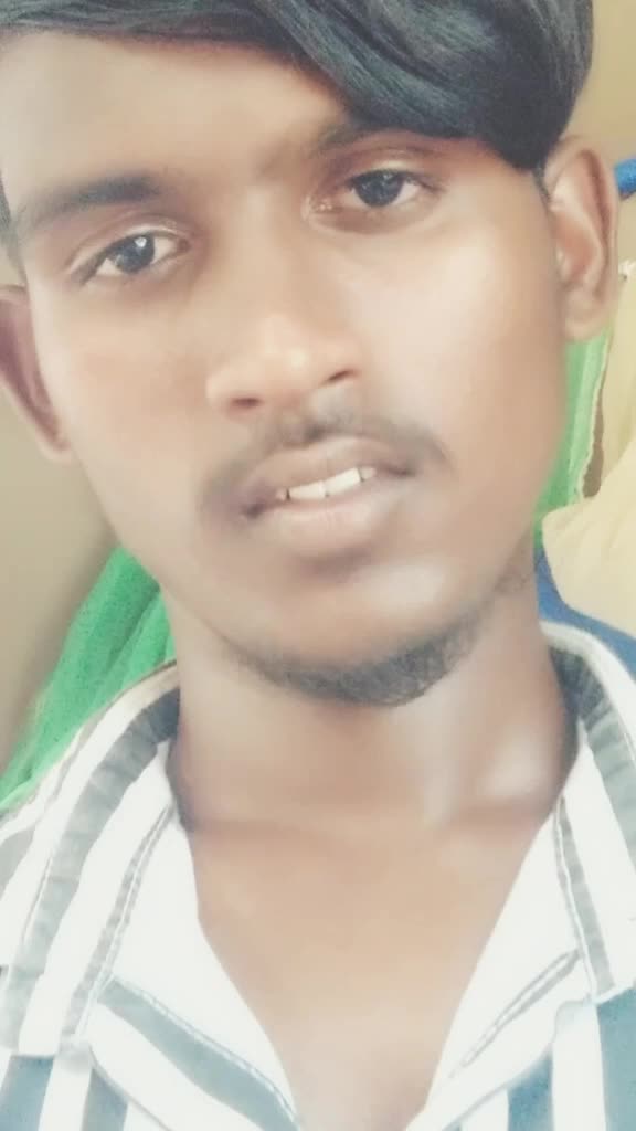@bollepoguirmiya831