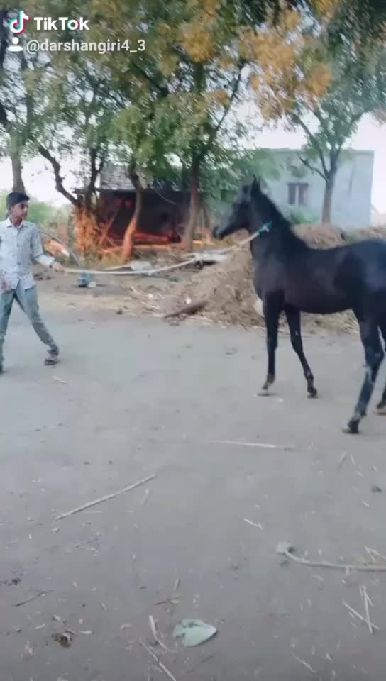 @🐎Mr ભોજાવદર વાળા🐎