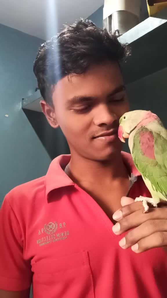 @AM ARUL