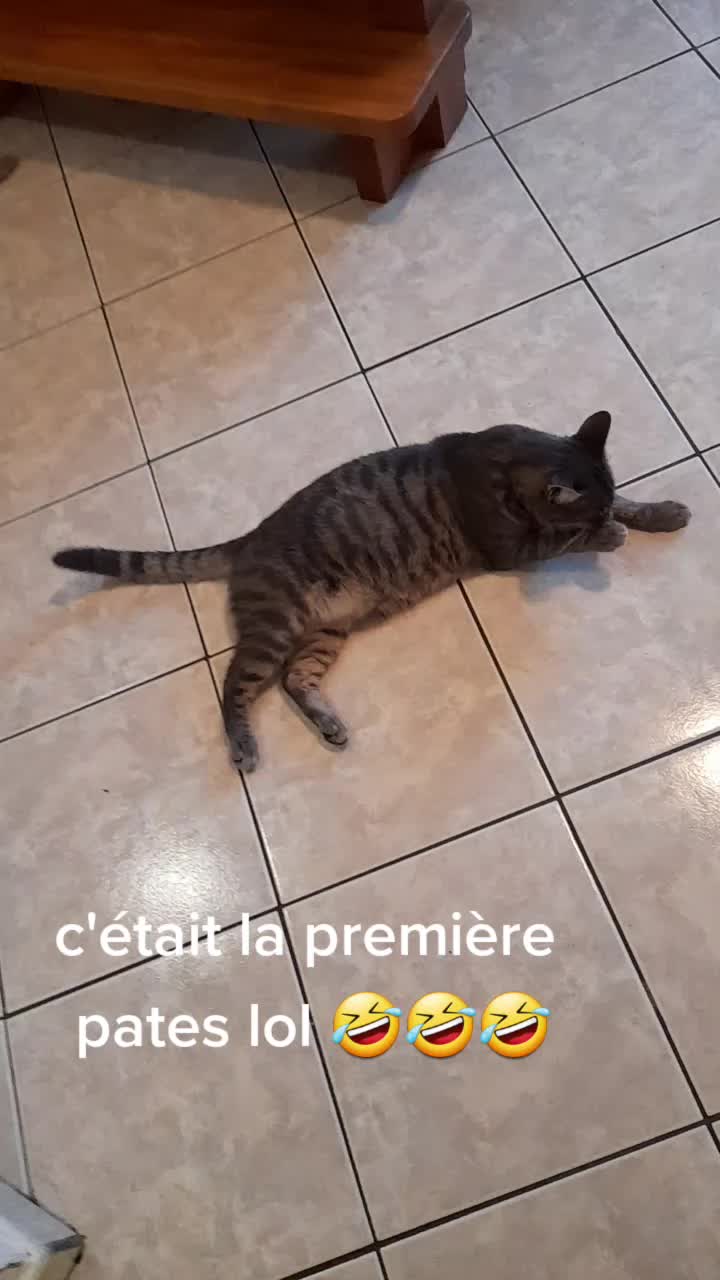 @opheliecrn44460