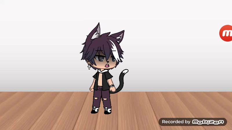 @😍🐱❤❤