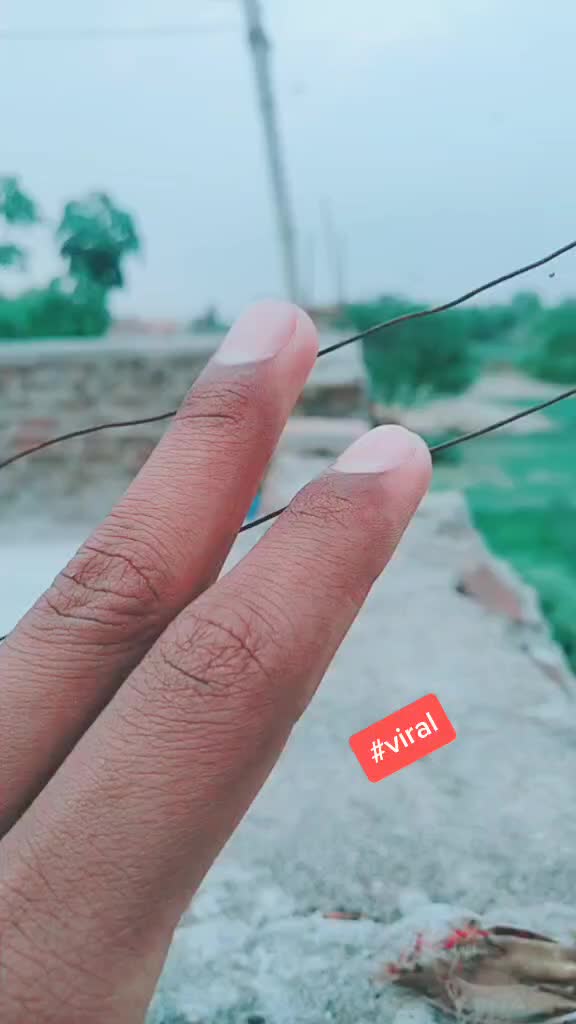 @Vivek Gupta✔️
