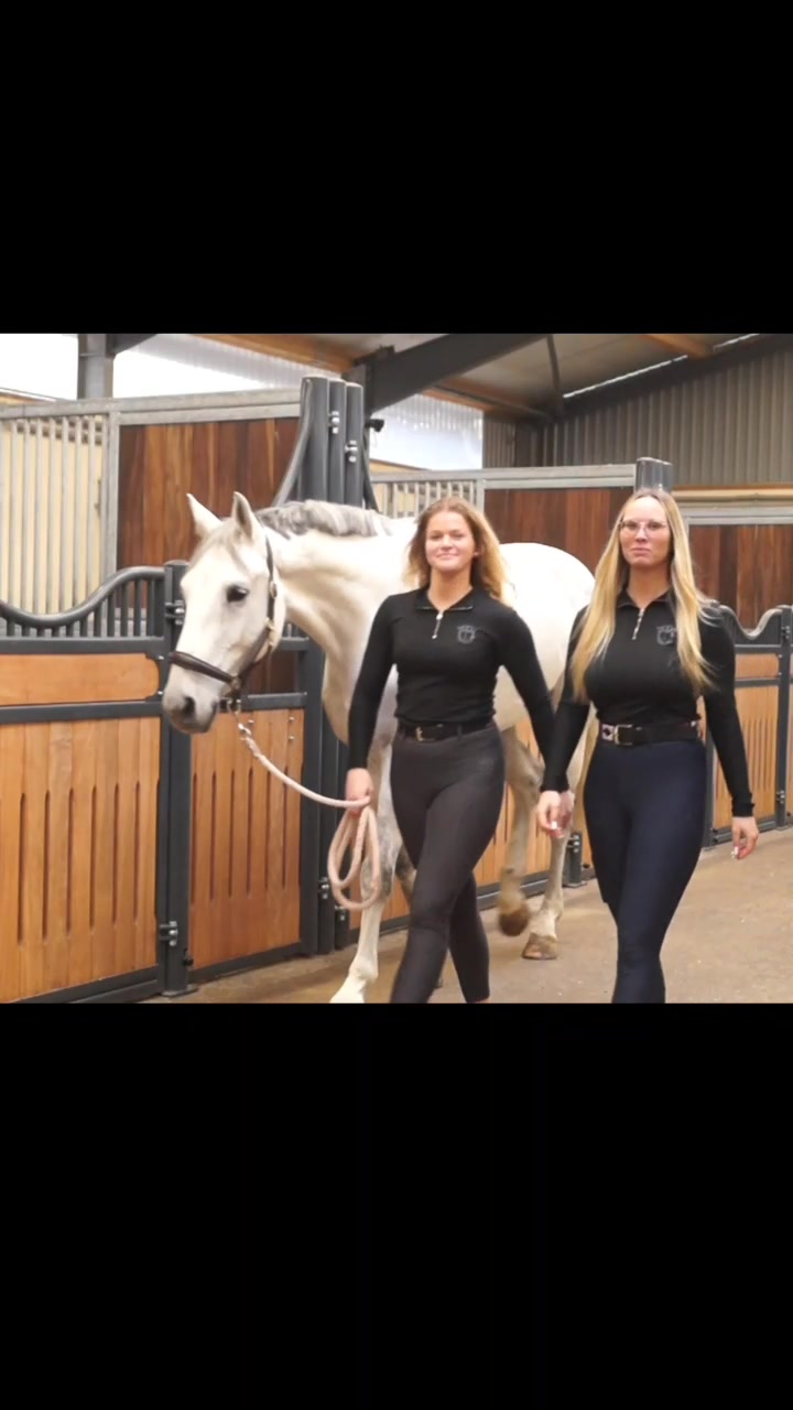 @Sir Ludwig Equestrian
