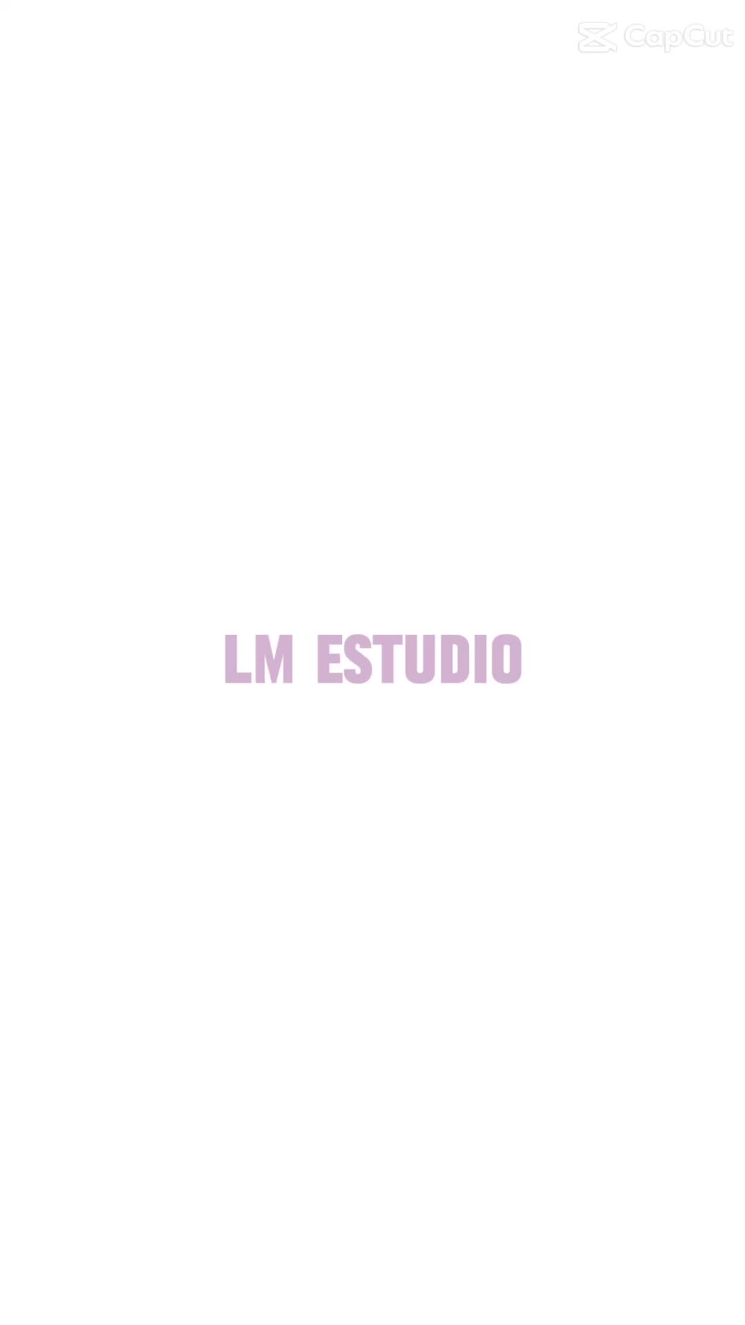 @lm_estudio