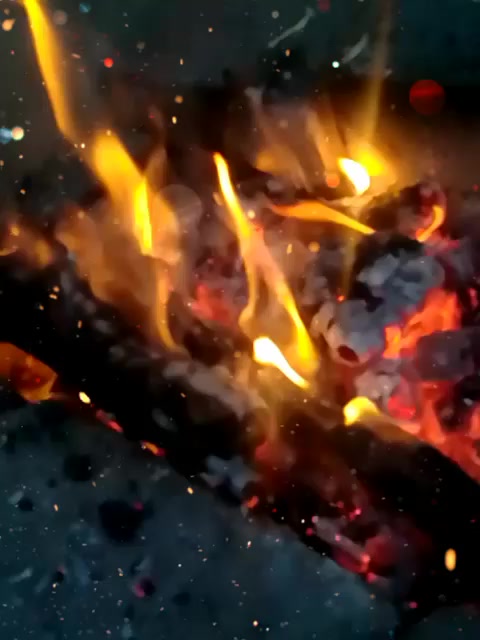 @fari_jutt