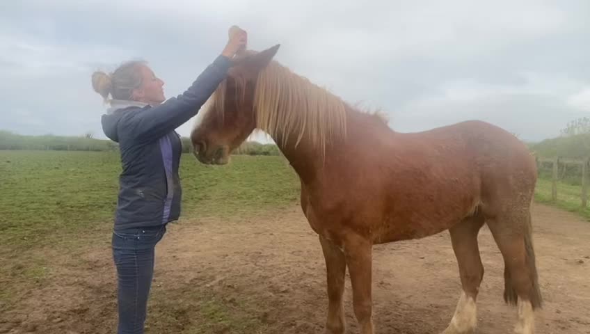 @Greenacres Rescue