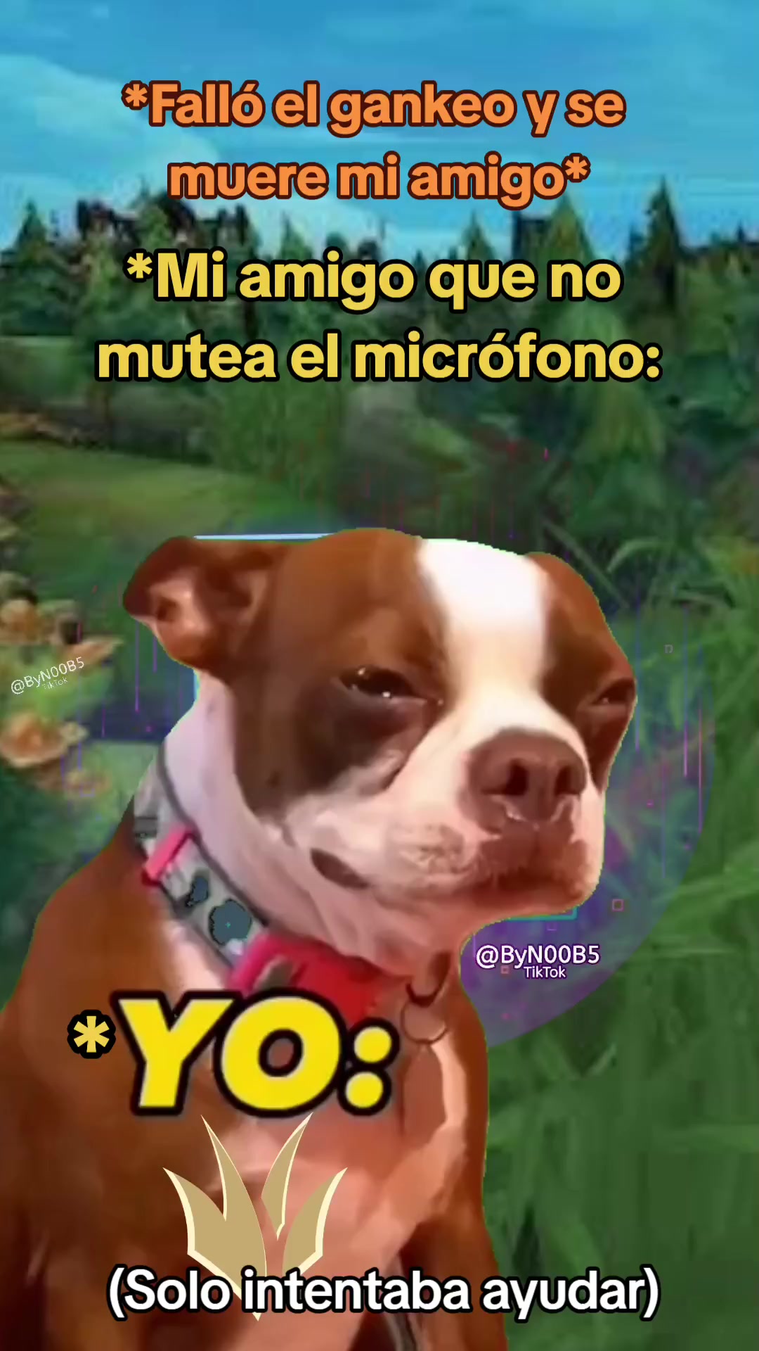 @ByN00B