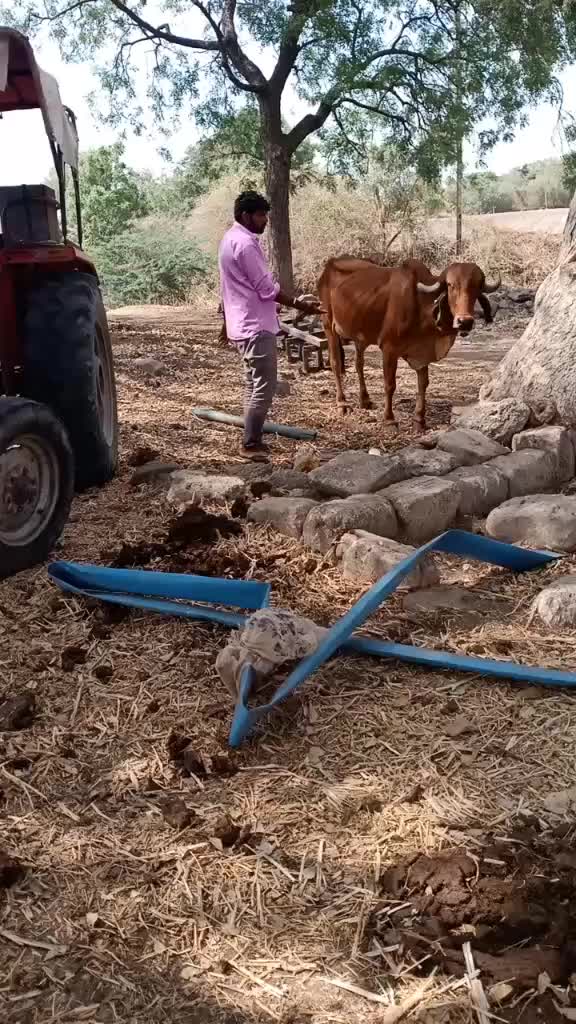 @gopal saniya