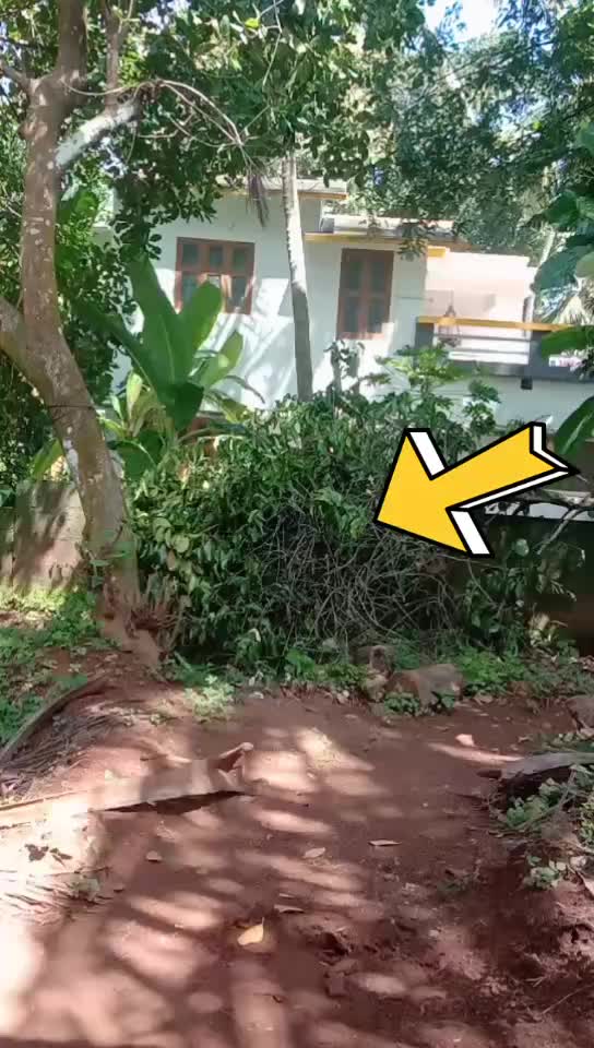 @vandanamukesh