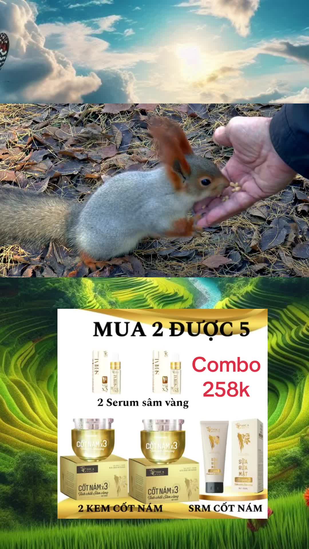 @Quẹo lựa lụm lựa