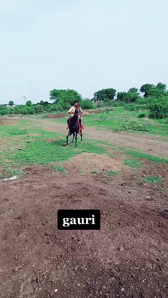 @🐴🐎નટખટ અષવાર 😉😁