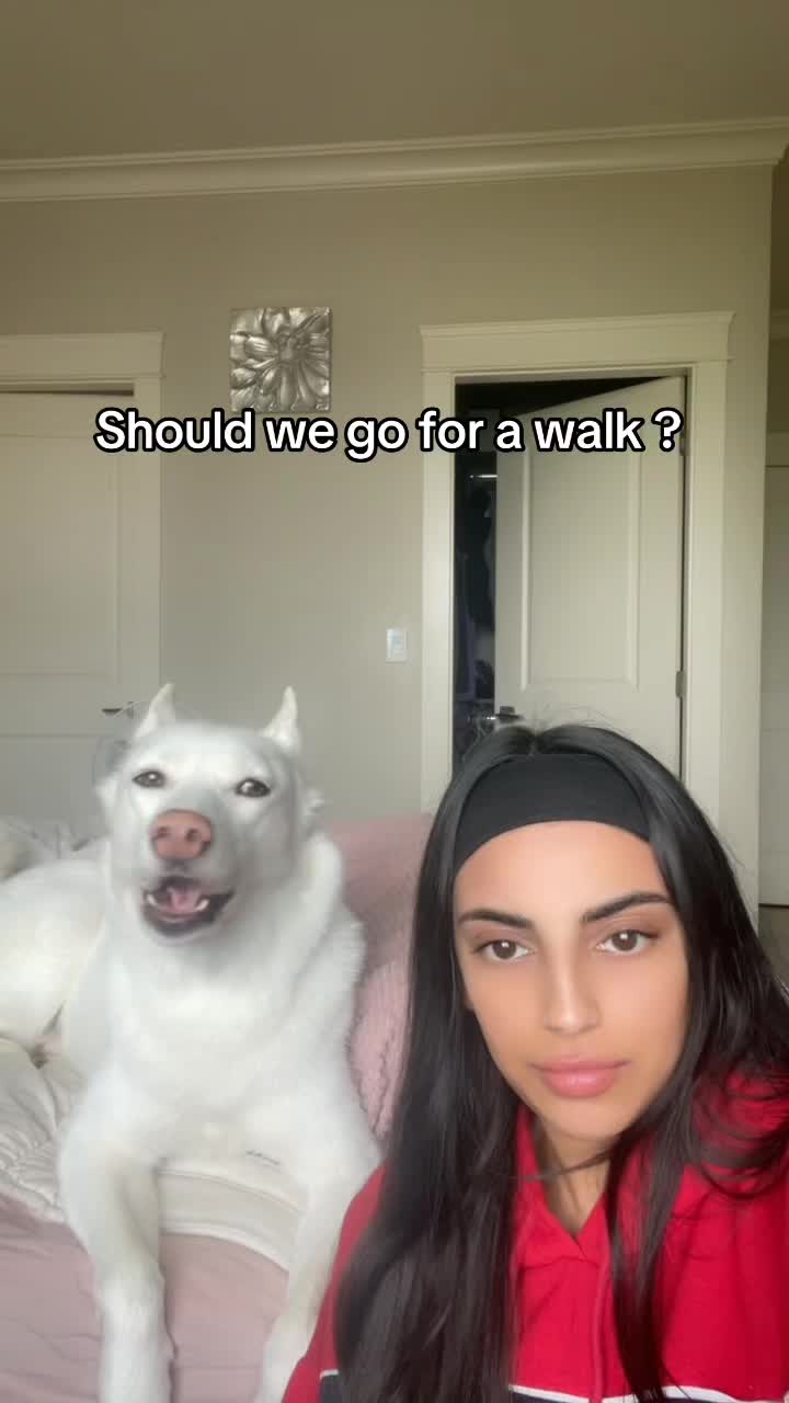 @ScreamingAva