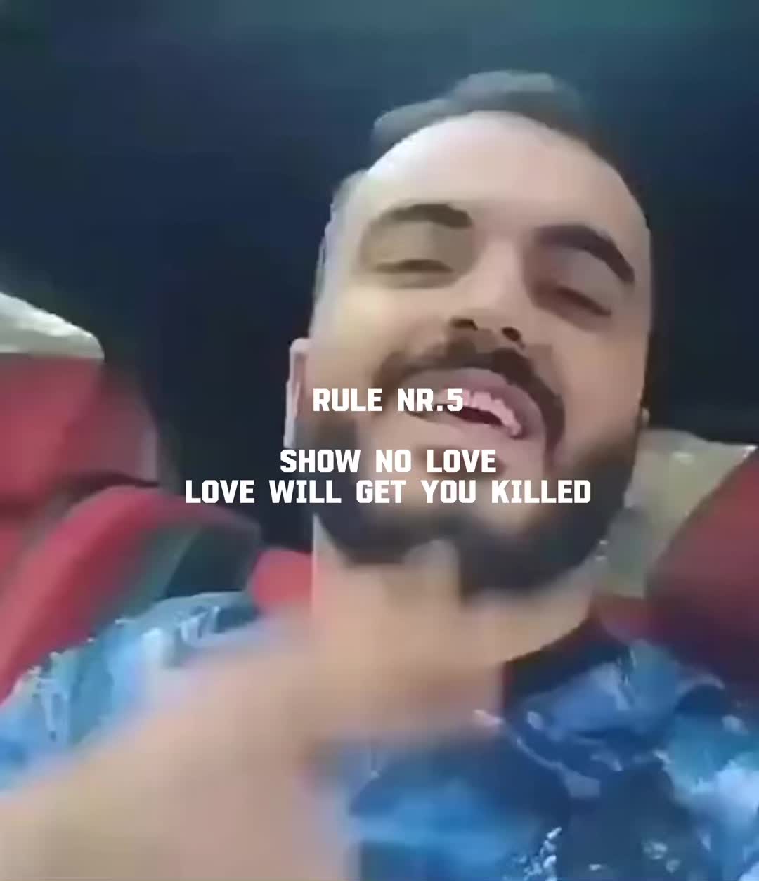 @🐅