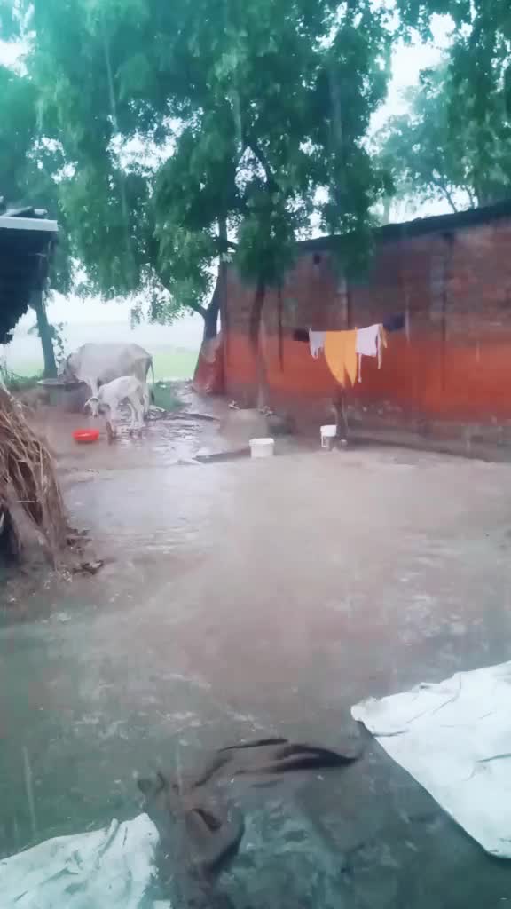 @Ramsaran Rajbhar