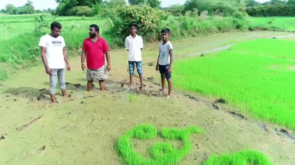 @Nagraj Virat