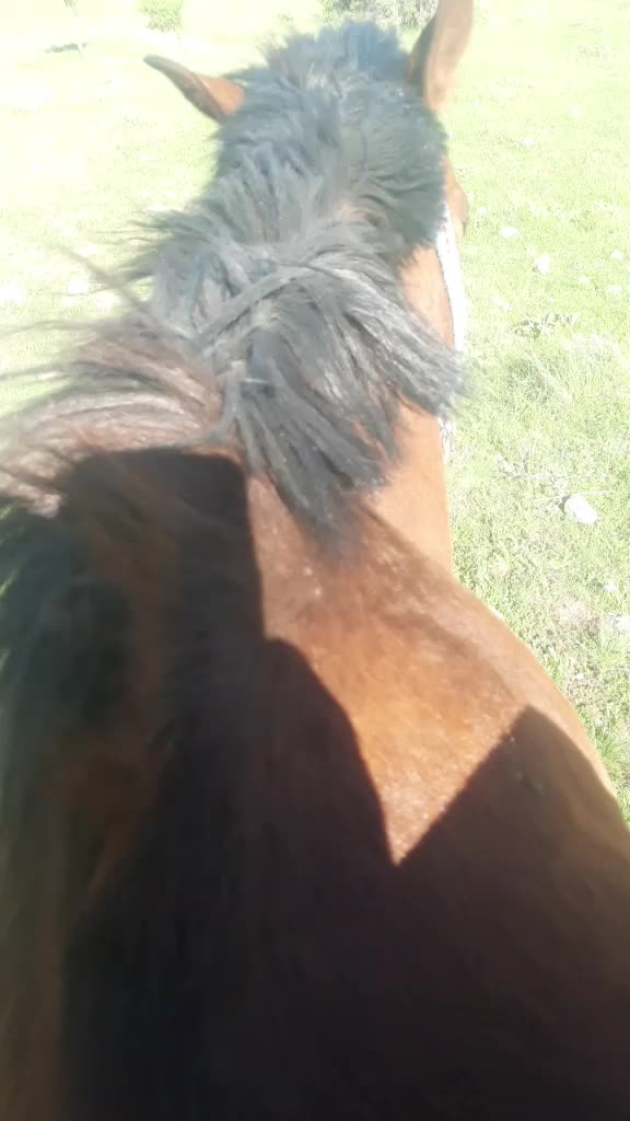 @yakup gökmen