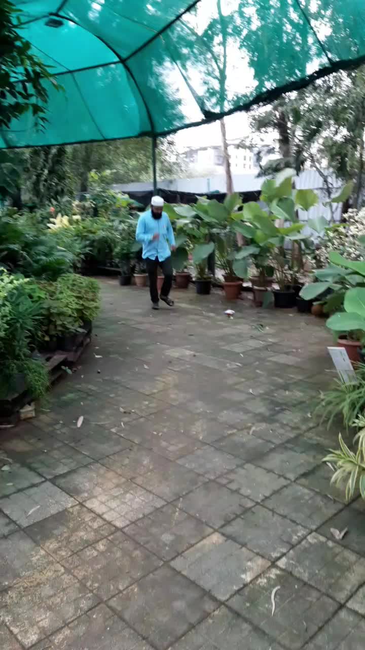 @sallujaan