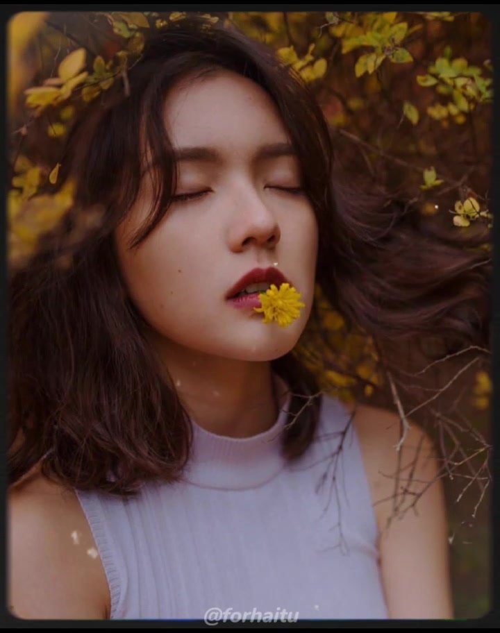 @For Hải Tú