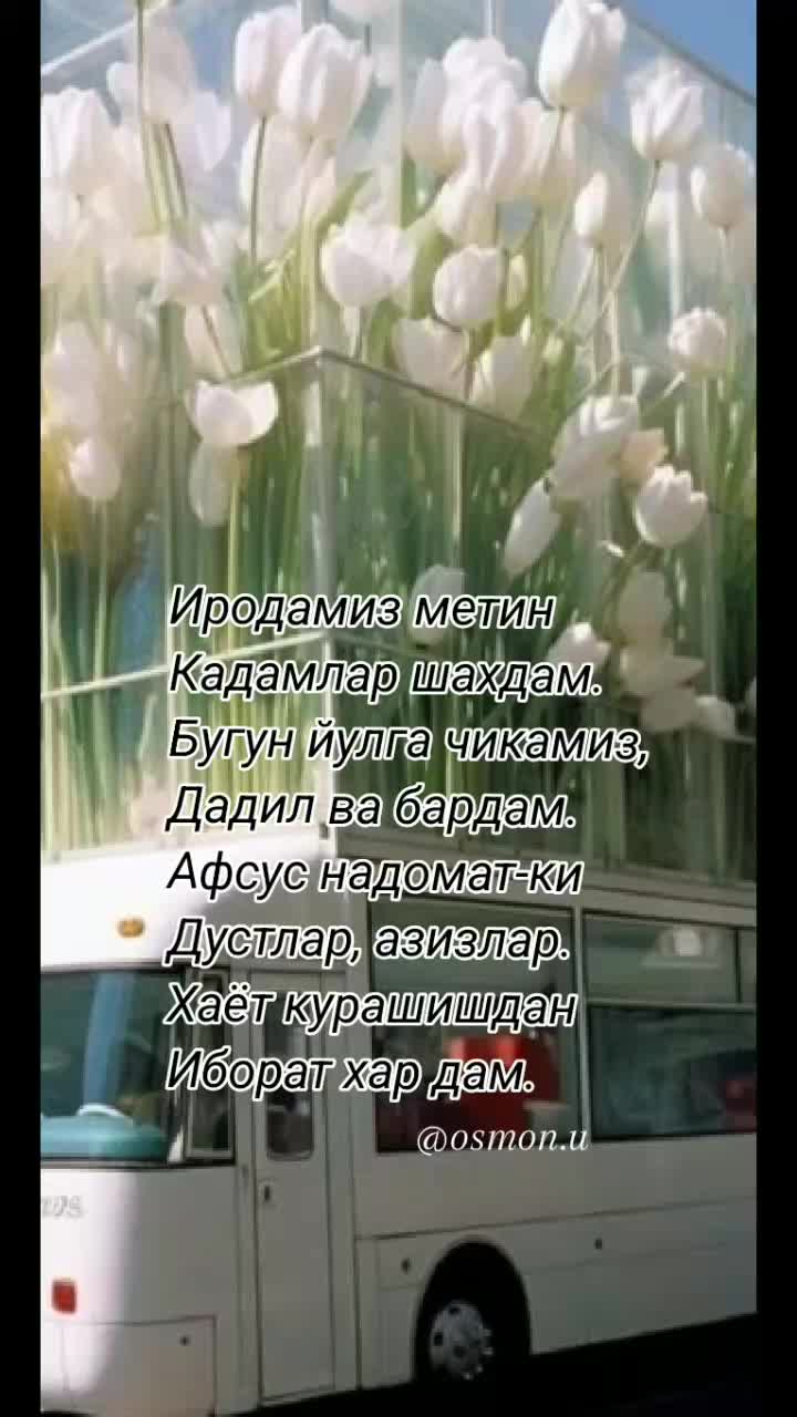 @Океан