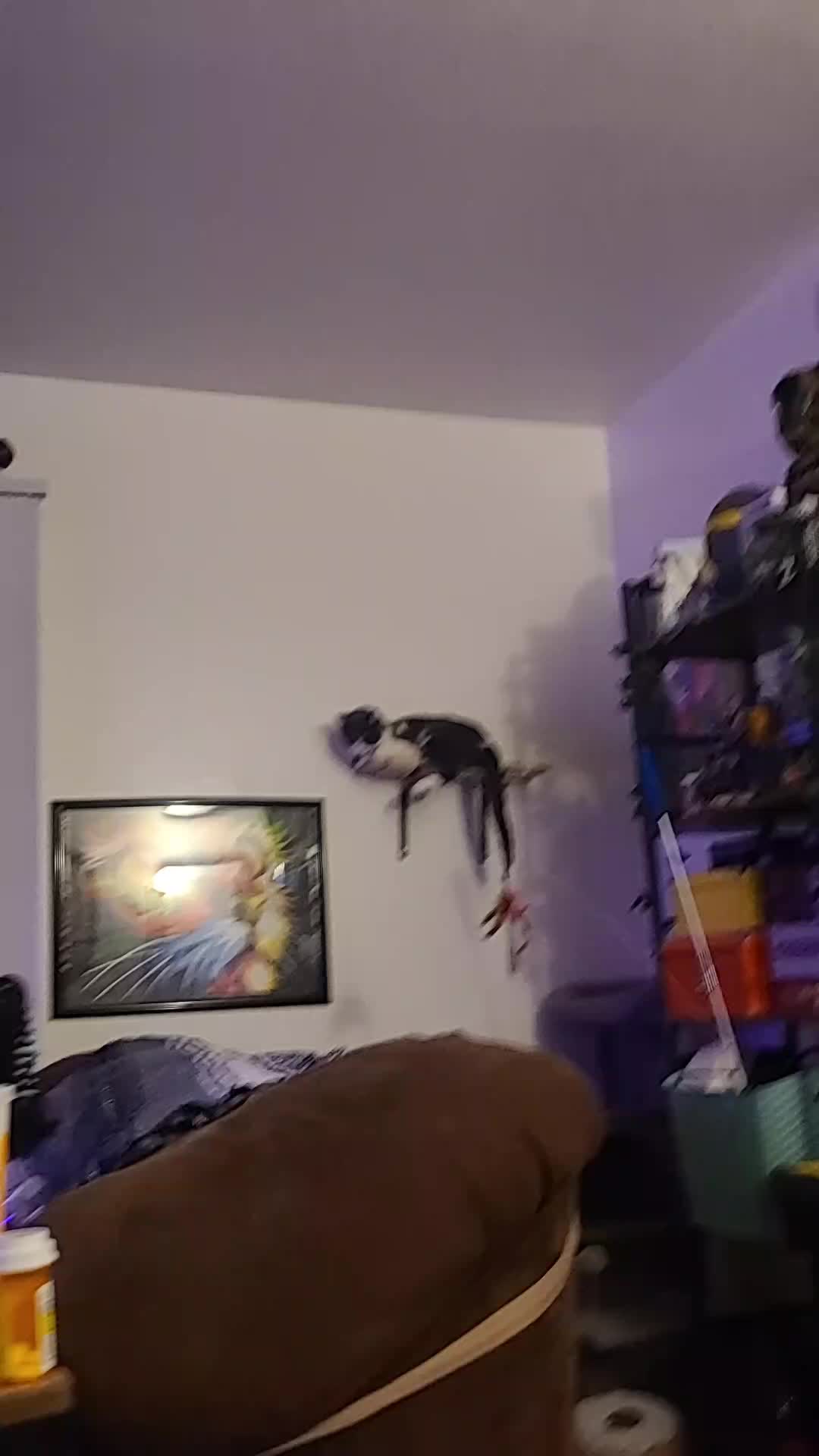 @omegadarthvader