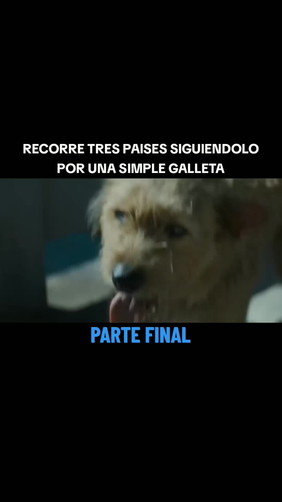 @NYL
