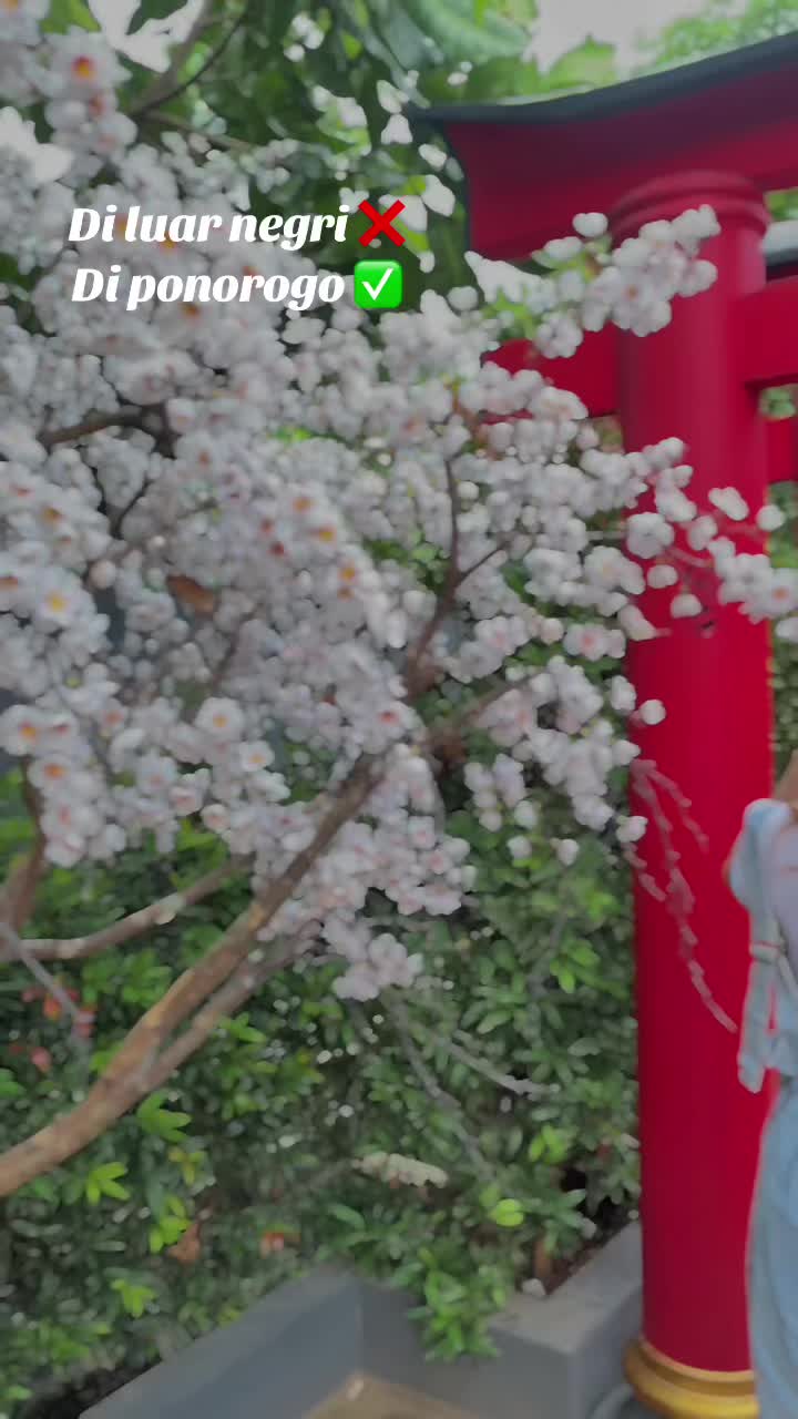 @ani