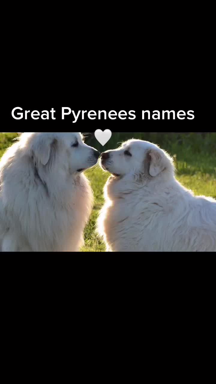 @Cute pet names