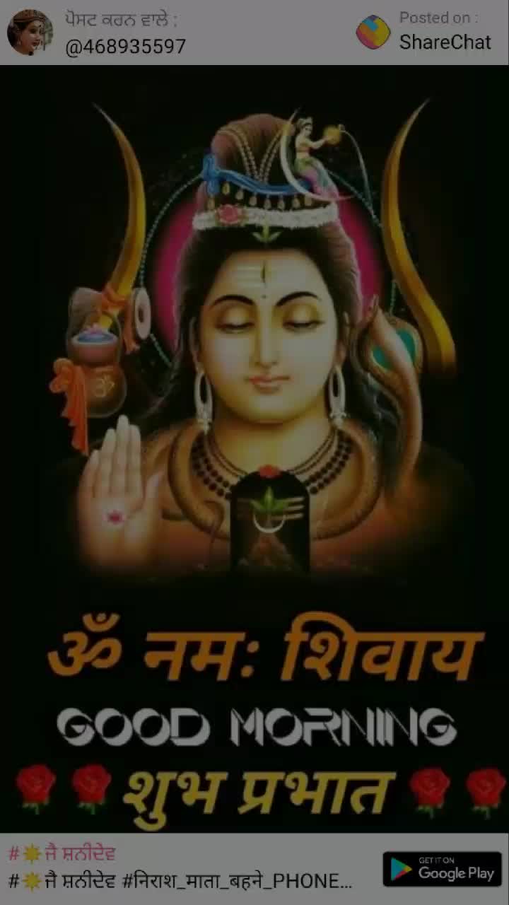 @user5363523036540