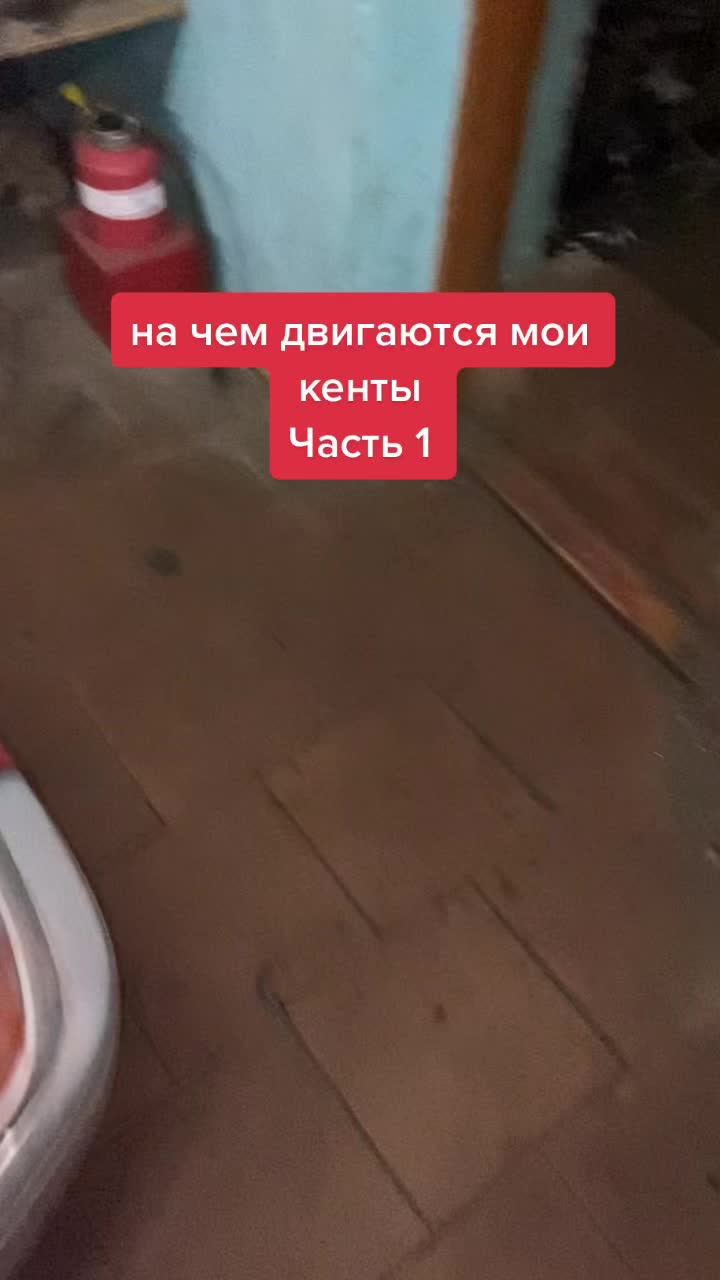 @official_zapletin