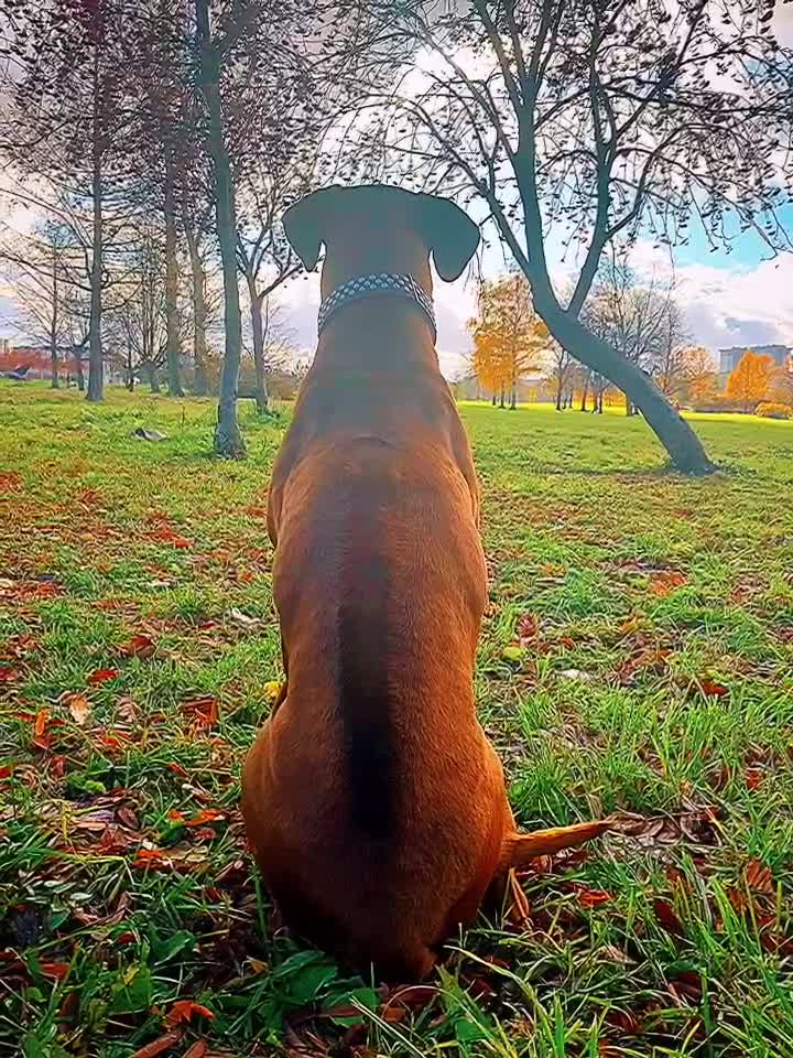 @italyiana