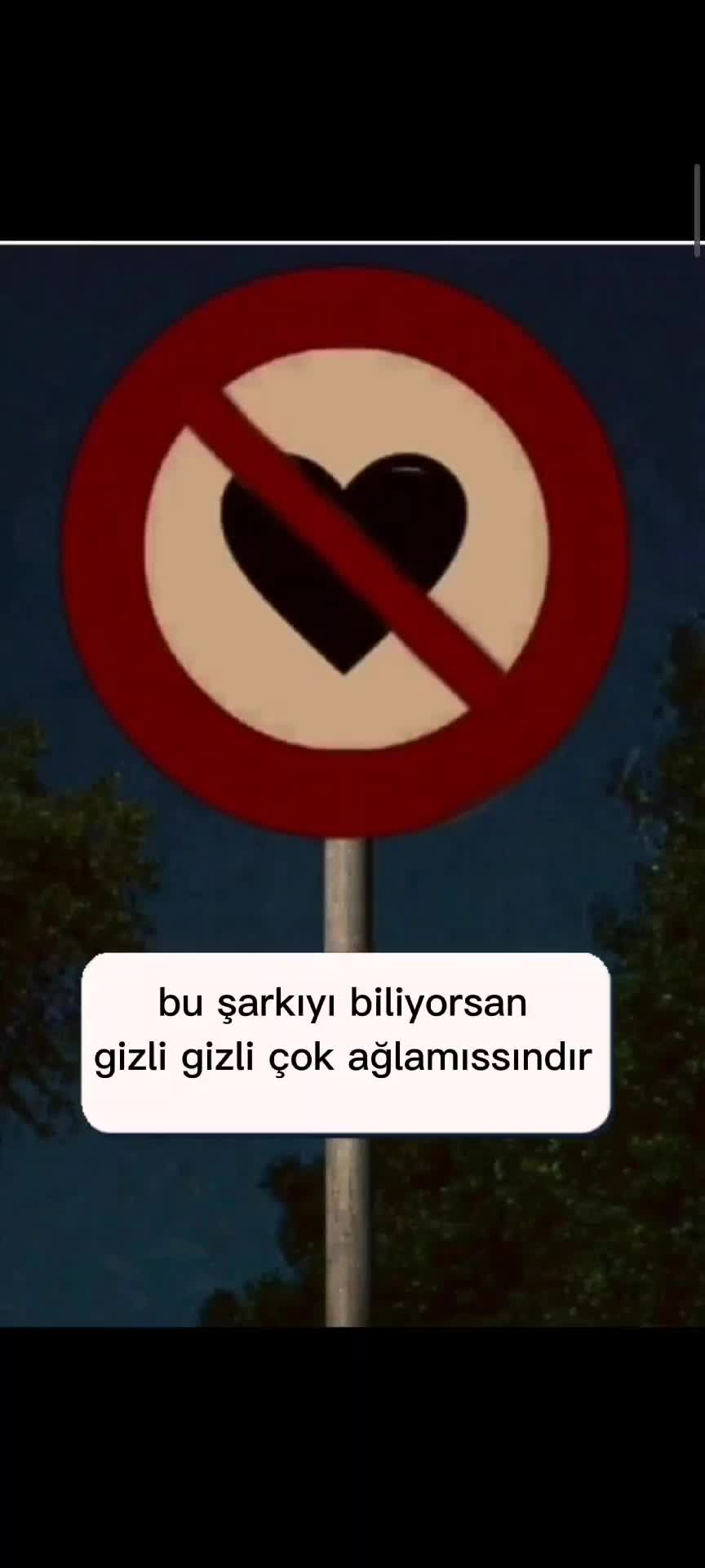 @soft._.hayl