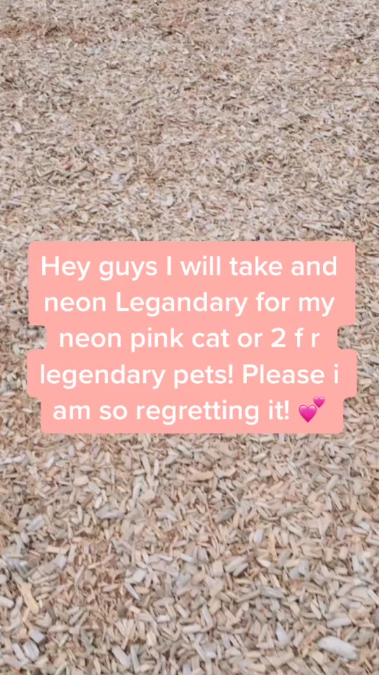 @JebArmy! 30k? 💫✨💕