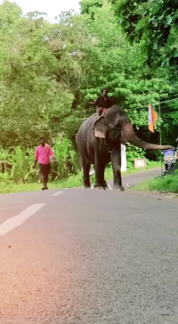 @sujith babu