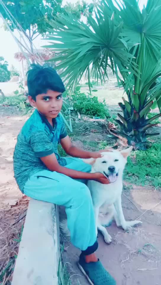 @Venkataramana