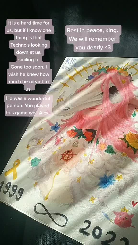 @hnzd