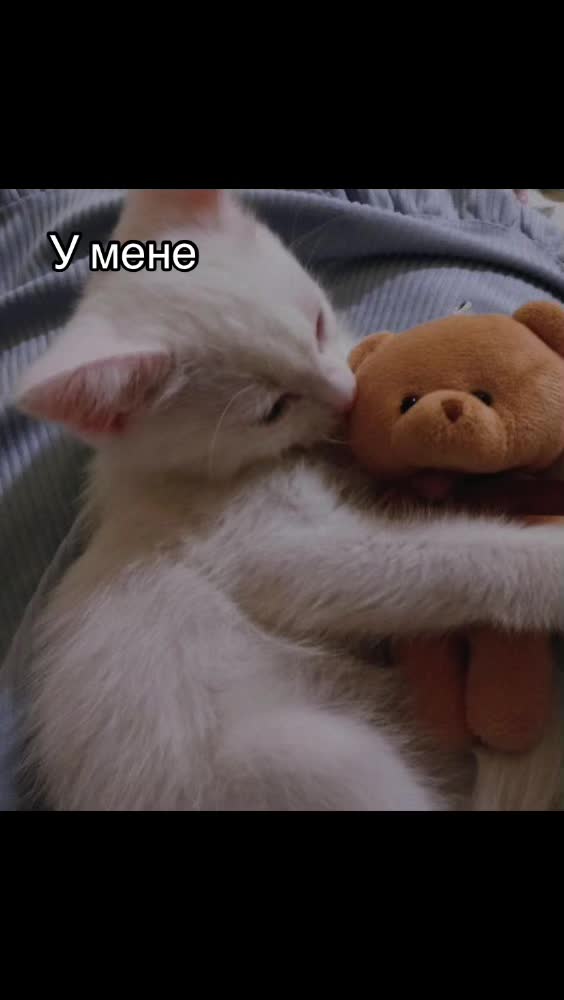 @nexxi