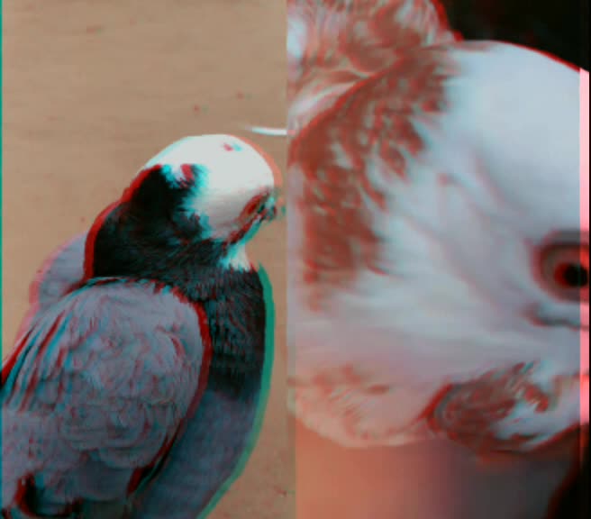 @Kunju KunjuZz