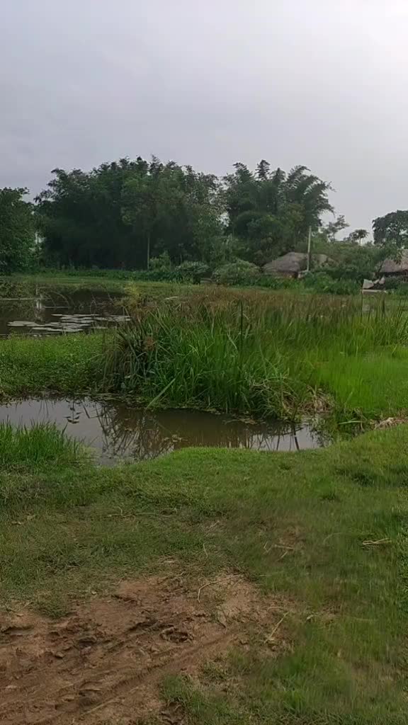 @Tapaswini Bindhani