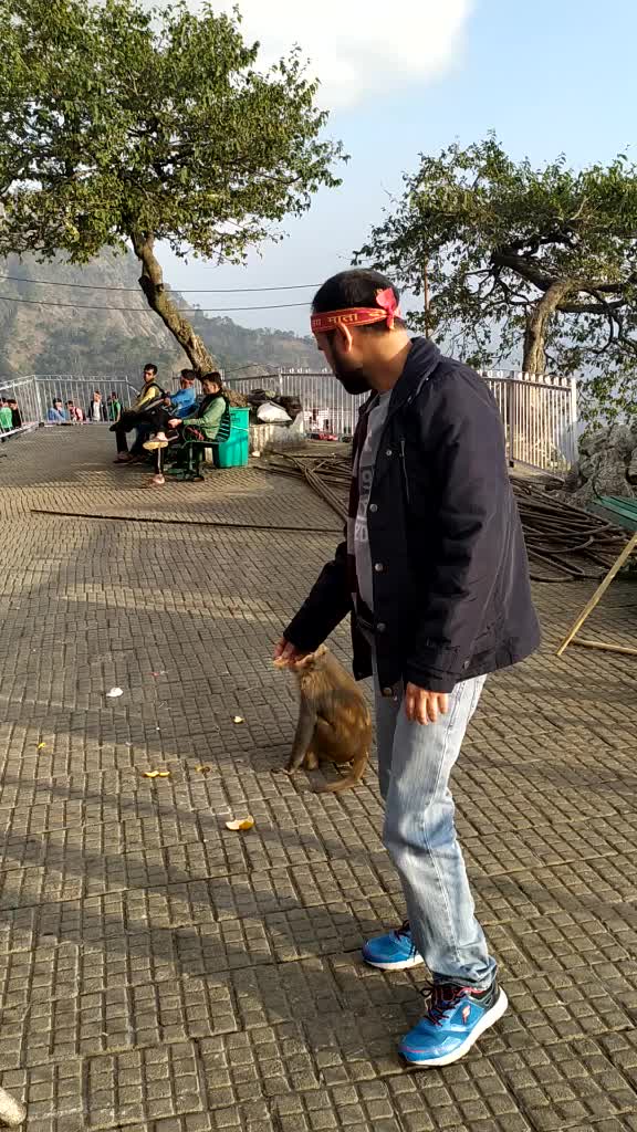 @Neha Tripathi