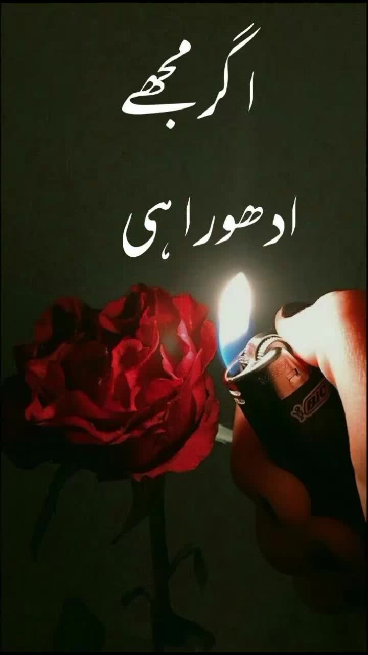 @🌟nawab zadi 💞👑