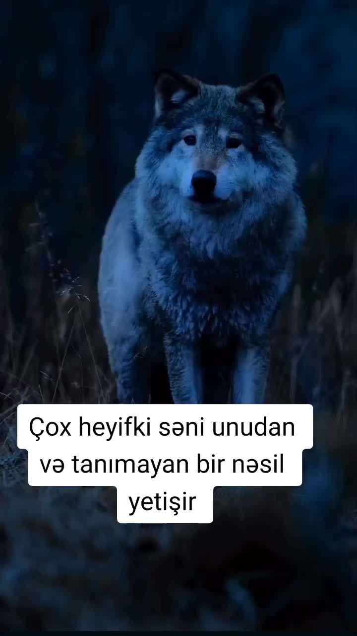 @ghost_123