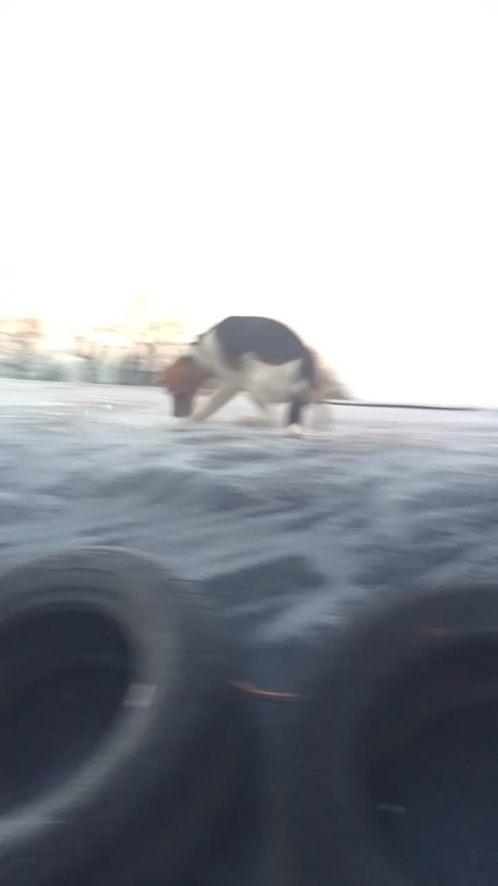 @Alun Thomas533