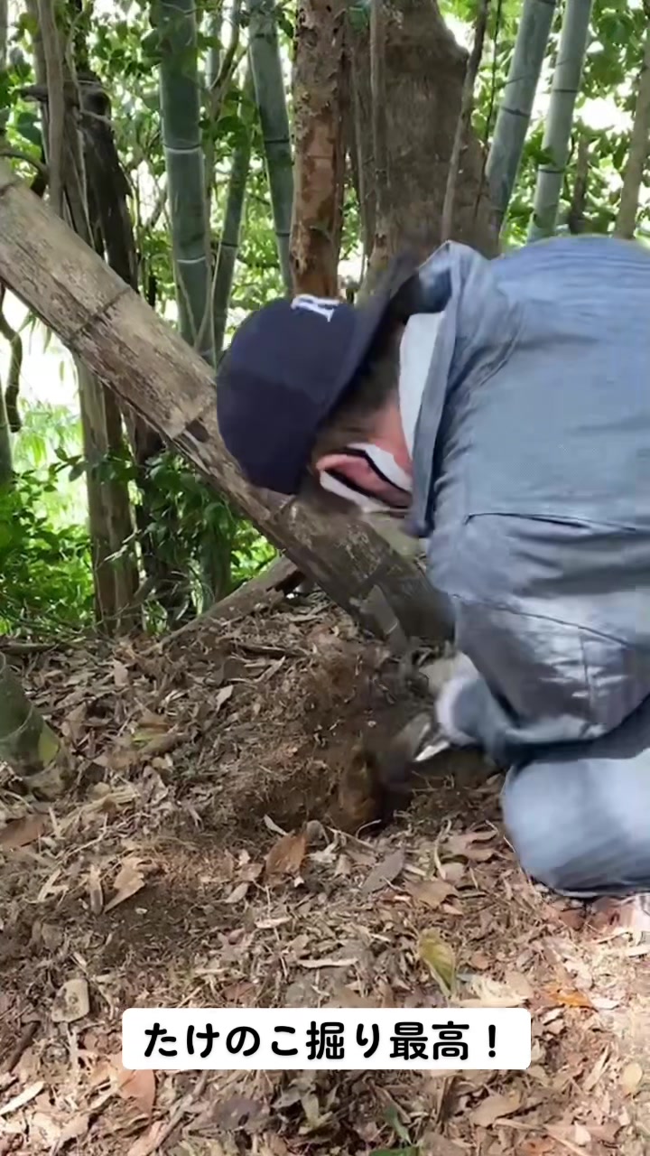 @野村 紳一郎