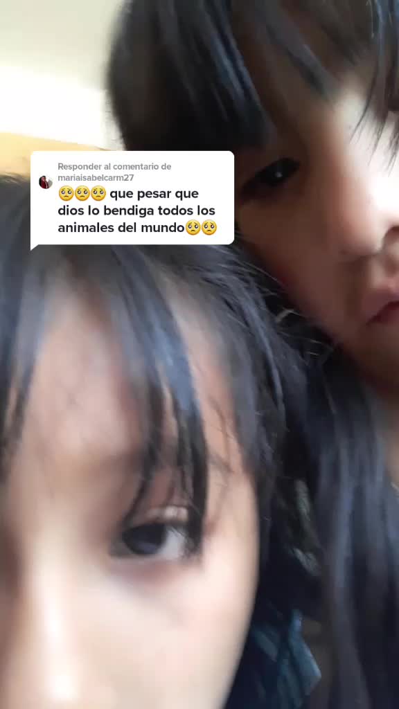 @aylin82723