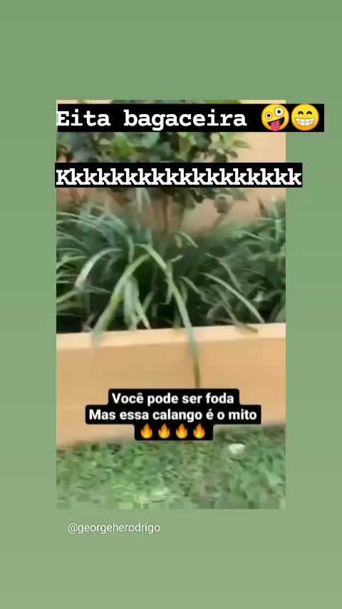 @Renatinha