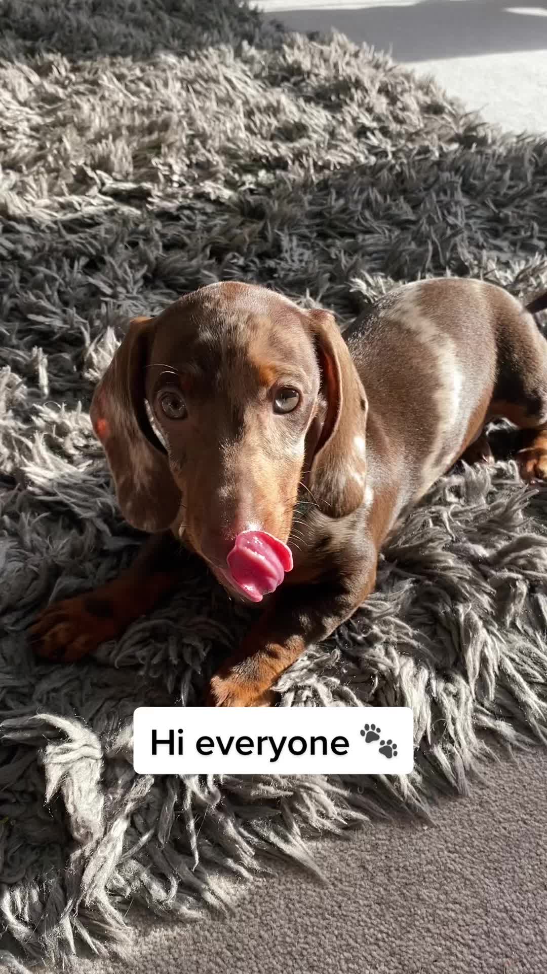 @billieandblu