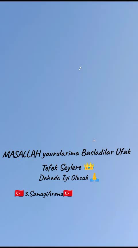 @İsmail Sarıteke